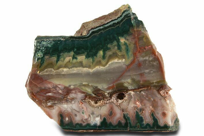 Colorful Polished Idaho Sunset Jasper Slab #336239